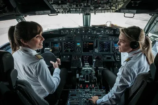 Professional Pilot